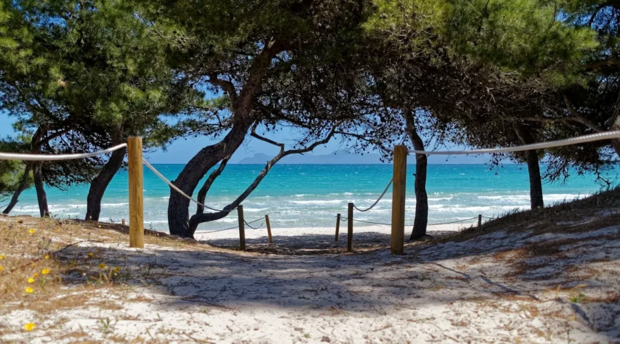 Accès à la plage de sable blanc à Majorque