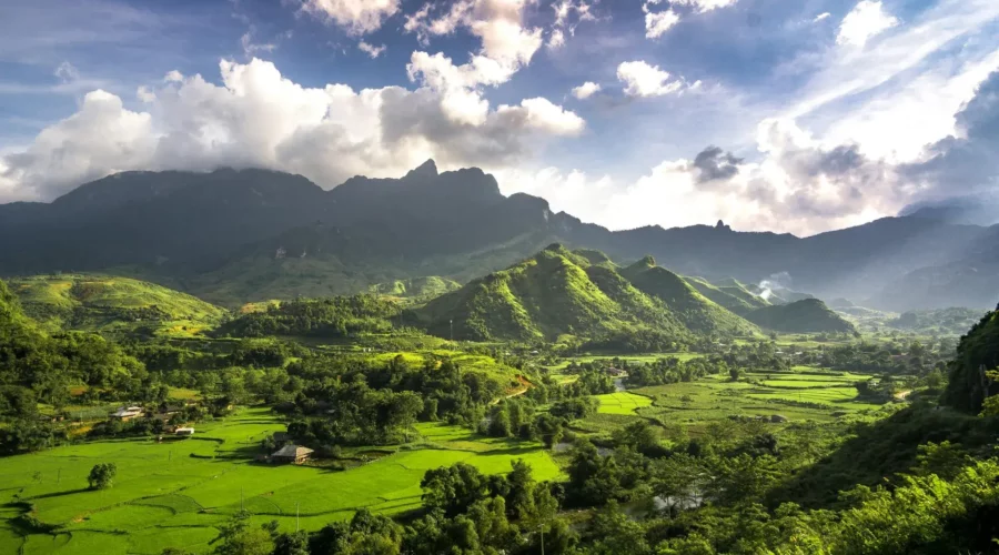 Panorama de la région de Ha Giang au Vietnam, avec des collines verdoyantes et des rizières en terrasses.