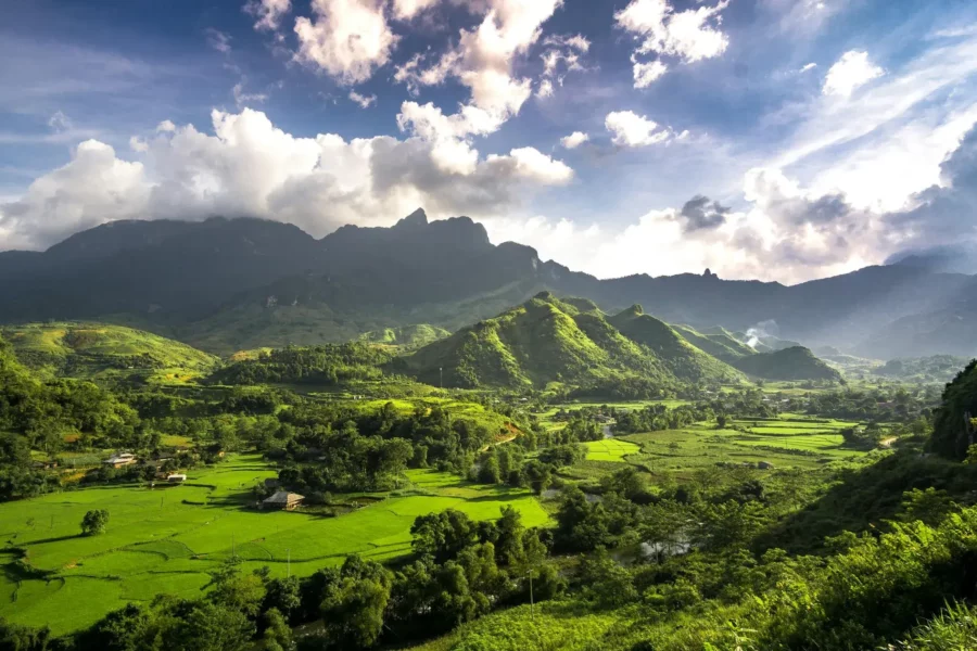 Panorama de la région de Ha Giang au Vietnam, avec des collines verdoyantes et des rizières en terrasses.