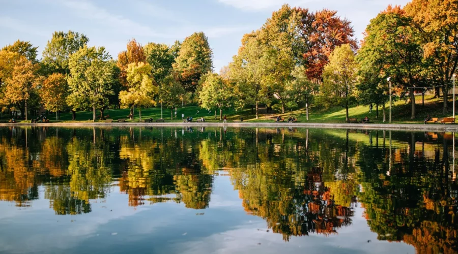 Parc avec lac à Montréal