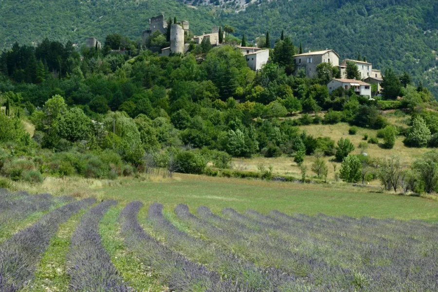 Paysage de Montbrun-les-Bains avec un champ de lavande, Drôme, France