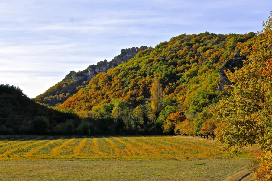 Paysage verdoyant de la Drôme, France