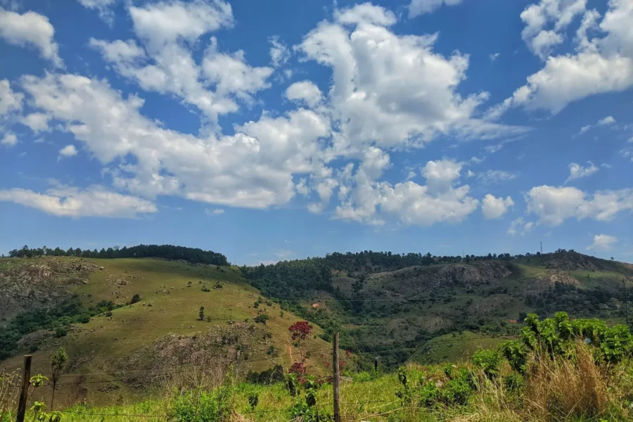 Vallée verdoyante du Swaziland, Afrique du Sud