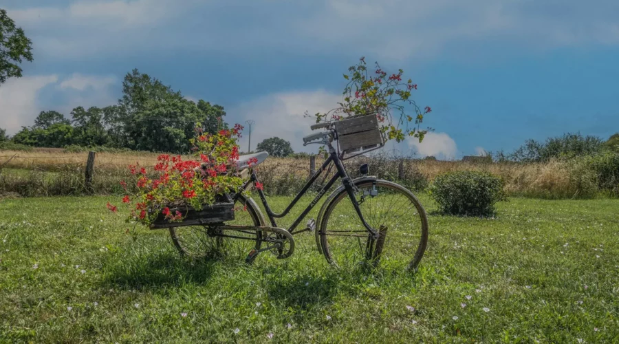 Vélo décoration avec des fleurs en Bourgogne, France
