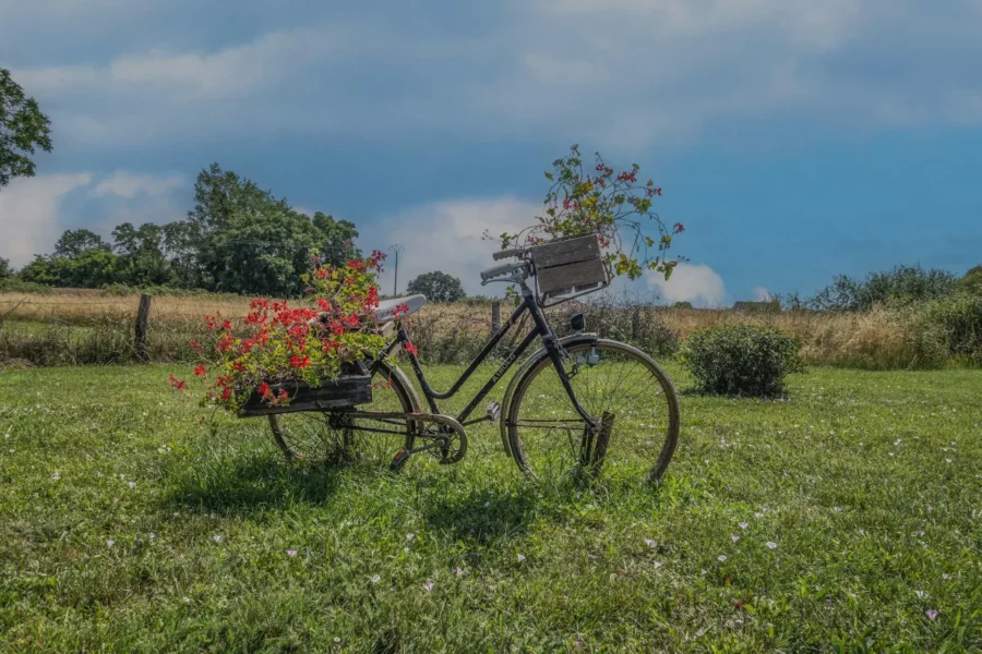 Vélo décoration avec des fleurs en Bourgogne, France