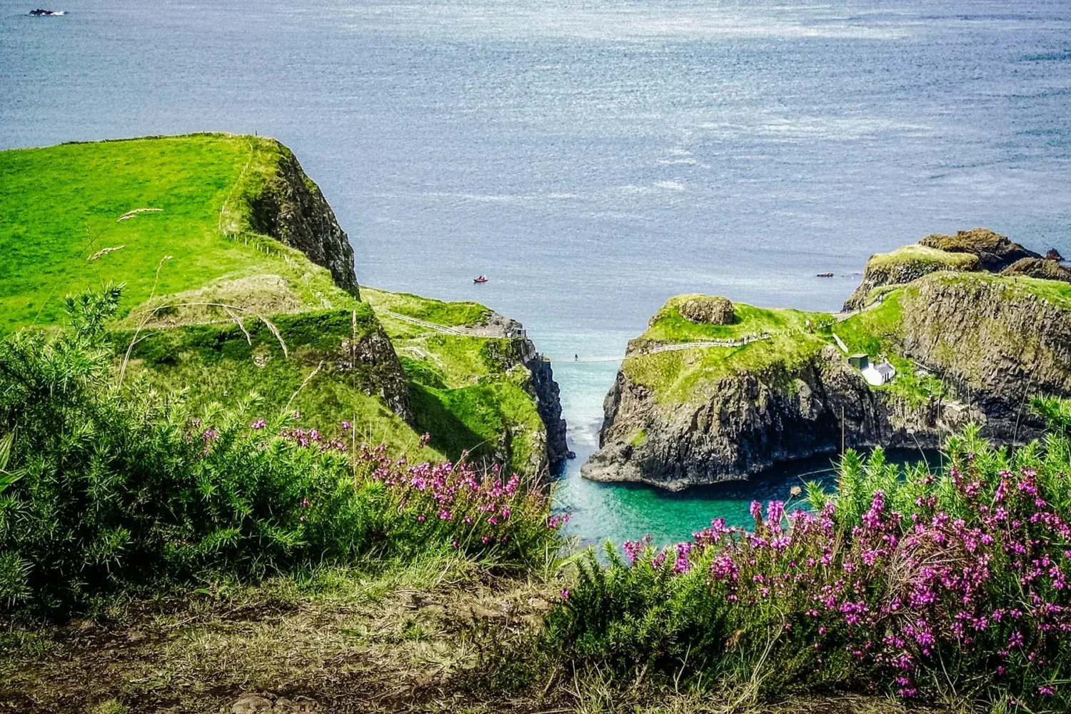 Vue imprenable sur le pont de corde de Carrick-a-Rede