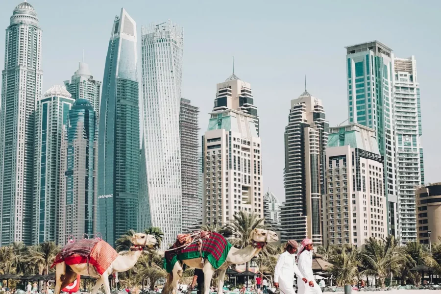 Chameaux sur la Plage avec la Skyline de Dubaï en Fond