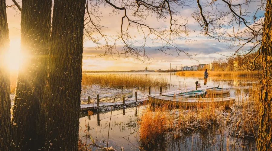 Nature et pont de bois à Helsinki, Finlande