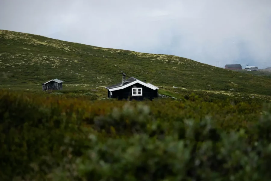 Panorama de Verdure et de Maisons à Geilo, Norvège