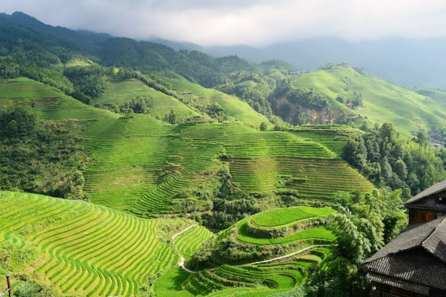 Paysage de montagne et rizière à Guilin, Chine