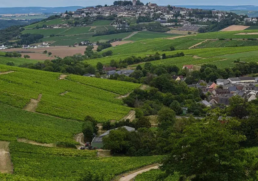 Paysage de vignoble à Sancerre, France