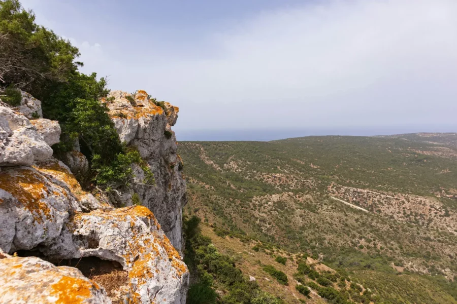 Vue sur la vallée d'Akamas, Chypre