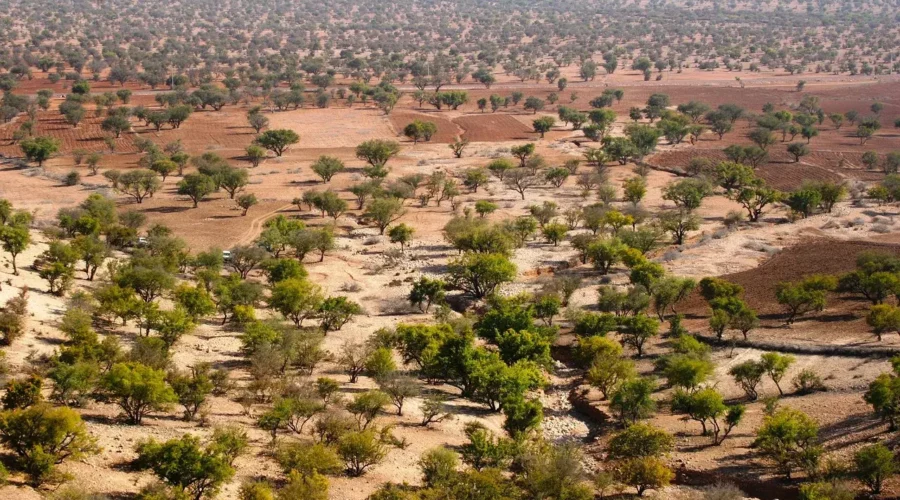 Le désert du Maroc