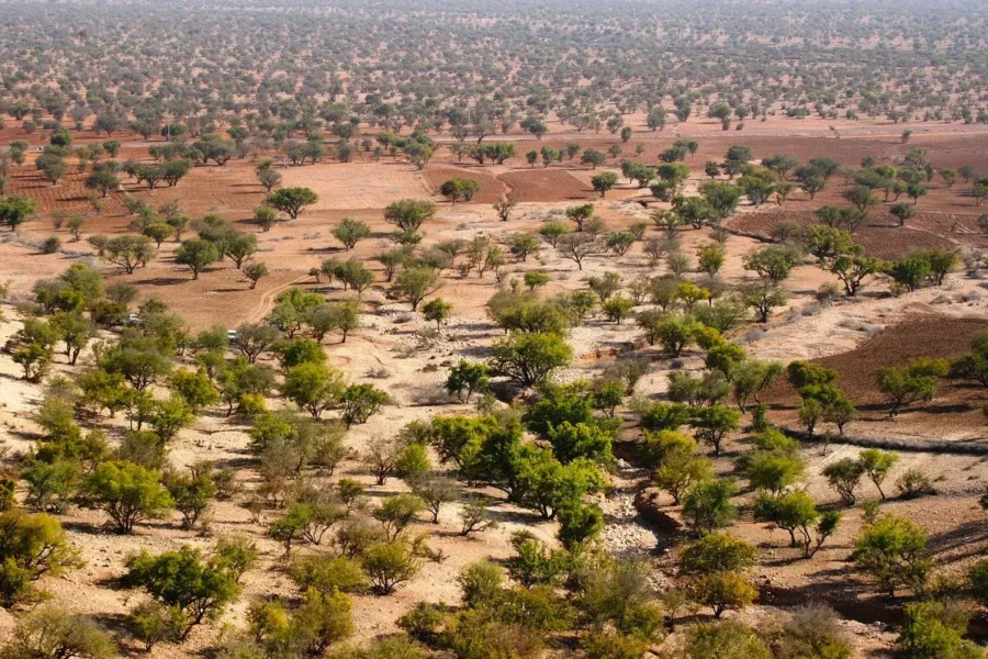 Le désert du Maroc