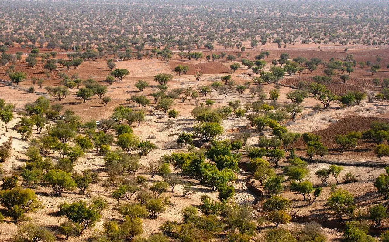 Le désert du Maroc