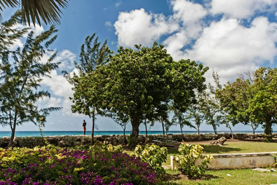 Bord de plage à Bridgetown, Barbade