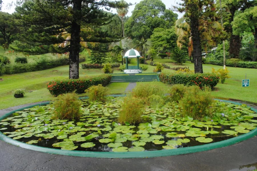 Jardin de Kingstown, Saint-Vincent-et-les-Grenadines