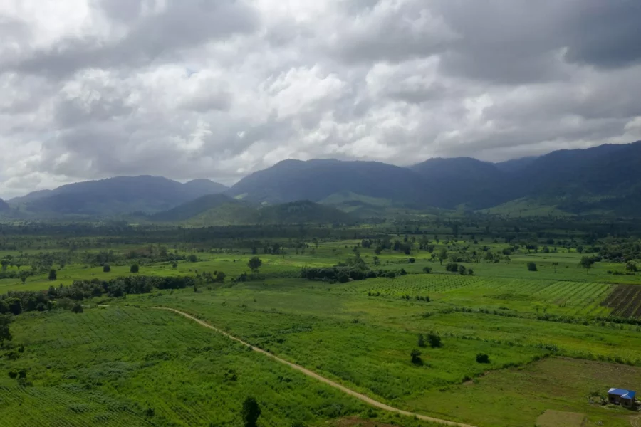 Paysage verdoyant à Battambang, Cambodge