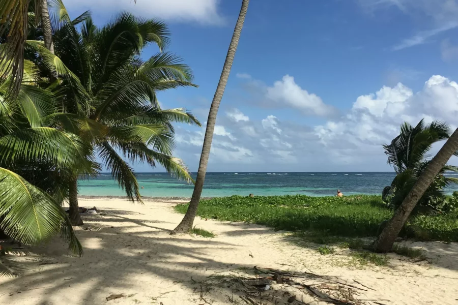 Plage de l'Anse Michel, Sainte-Anne, Martinique