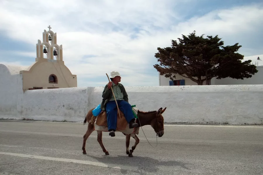 santorin-homme-âne