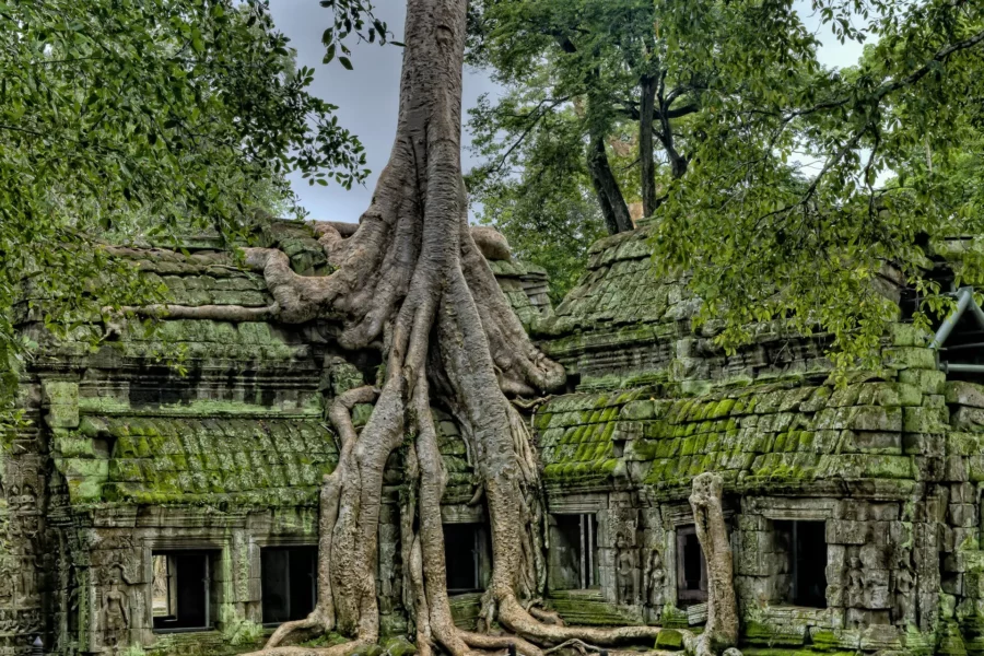 Route non nommée à Krong Siem Reap, Cambodge