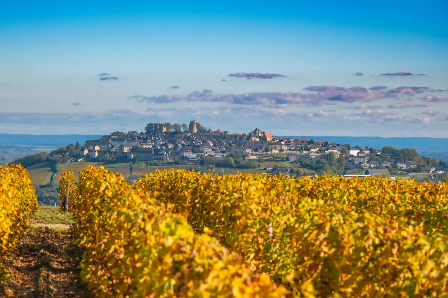 Vue panoramique de Sancerre et des vignobles, France