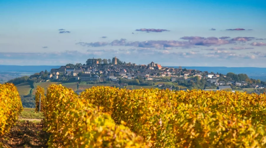 Vue panoramique de Sancerre et des vignobles, France