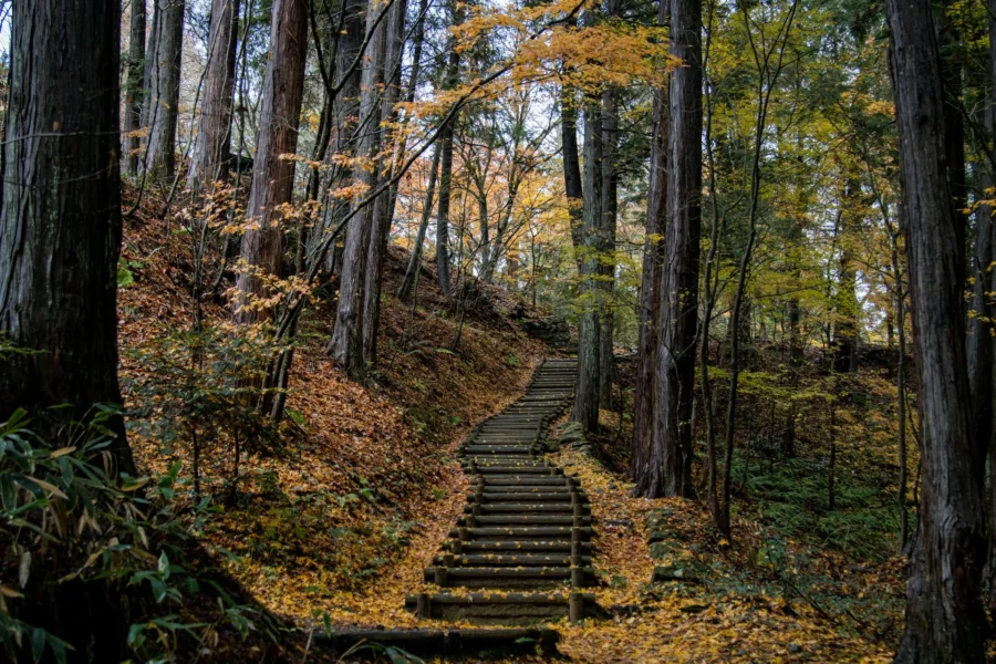 Escalier dans la forêt à Takayama, Japon