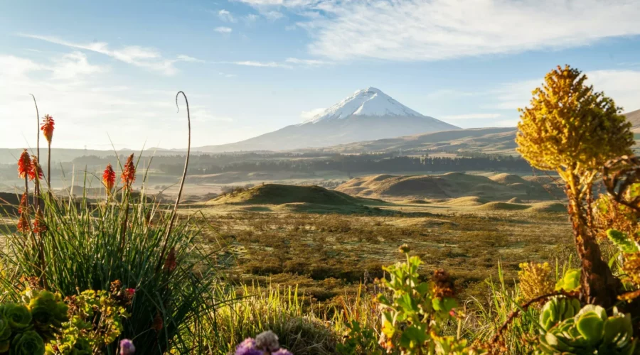 Le Cotopaxi, majestueux volcan d'Équateur, offre une aventure inoubliable au cœur de paysages spectaculaires, où les amateurs de nature et de sensations fortes peuvent conquérir son sommet enneigé et découvrir une beauté sauvage à couper le souffle.