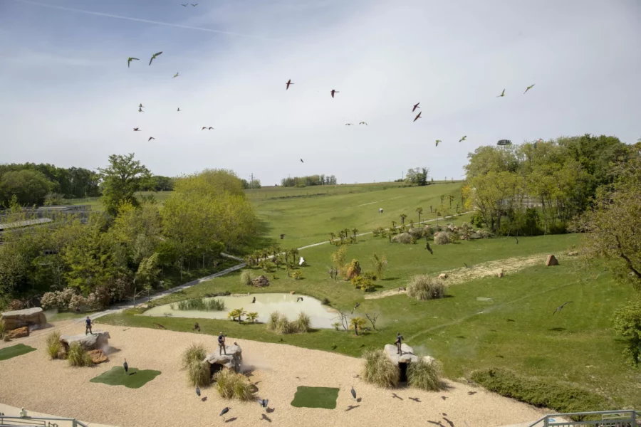 Spectacle d’oiseaux à Beauval