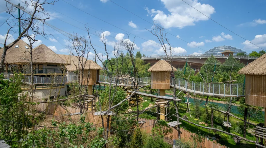 ZooParc de Beauval