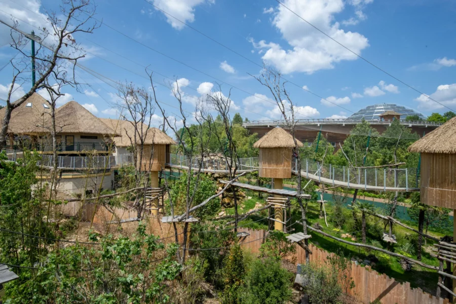 ZooParc de Beauval